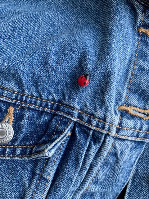 Ladybug Pin